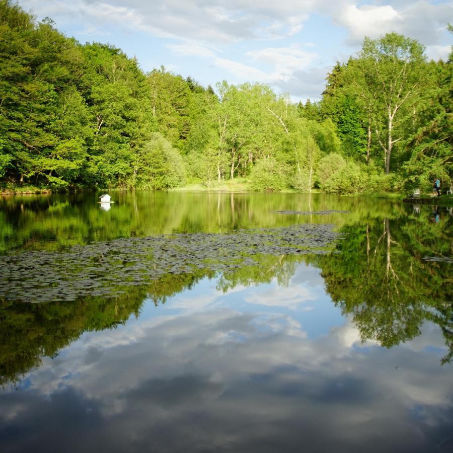 Le Crusoe A L'Etang D'Anty - Appartement Saint-Nabord Eksteriør billede