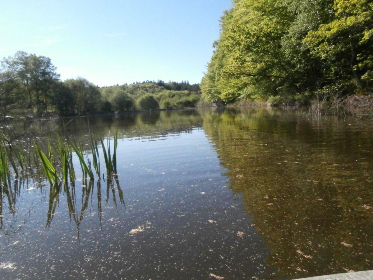 Le Crusoe A L'Etang D'Anty - Appartement Saint-Nabord Eksteriør billede
